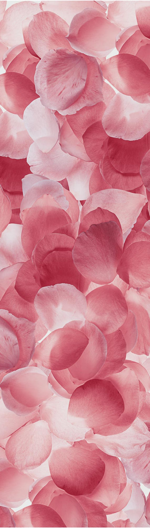 Adesivo per Frigo Pink Petals grafica