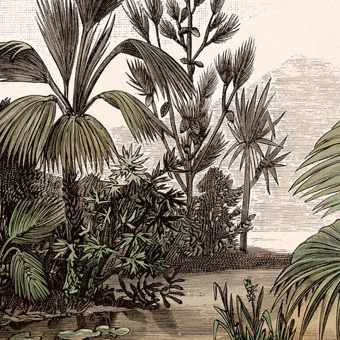 Carta da parati Engraved jungle Dettaglio