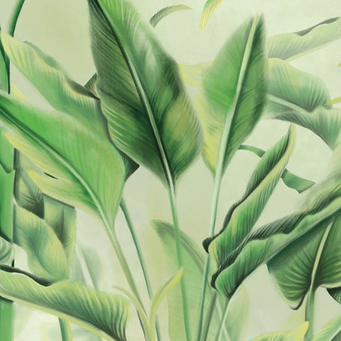 Carta da parati Palms drawing dettaglio