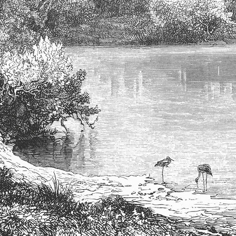 Carta da parati Fiume Giordano