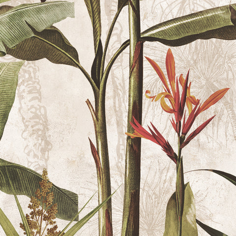 Carta da parati Natura equatoriale dettaglio