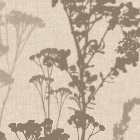 Carta da parati Dry Herbs Dettaglio