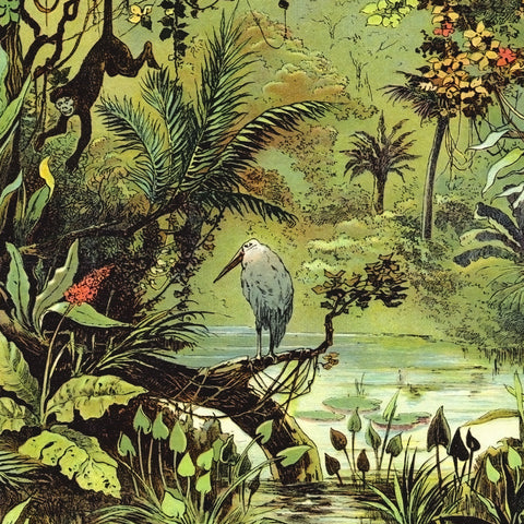 Carta da parati in Fibra di vetro Arte tropicale