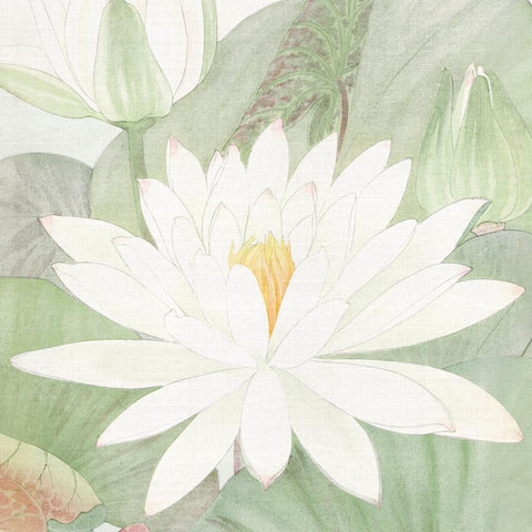 Carta da parati Ninfee d'Oriente