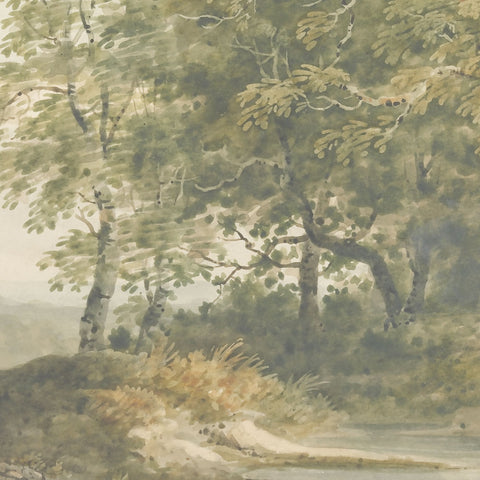 Carta da parati La magia del bosco