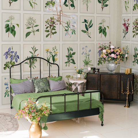 Carta da parati Tavole botaniche - per camera da letto