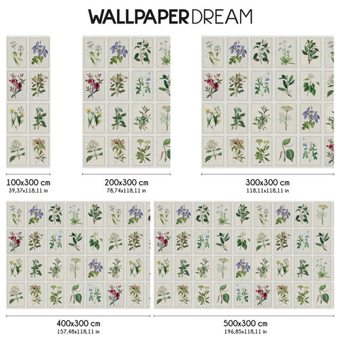 Carta da parati Tavole botaniche dimensioni