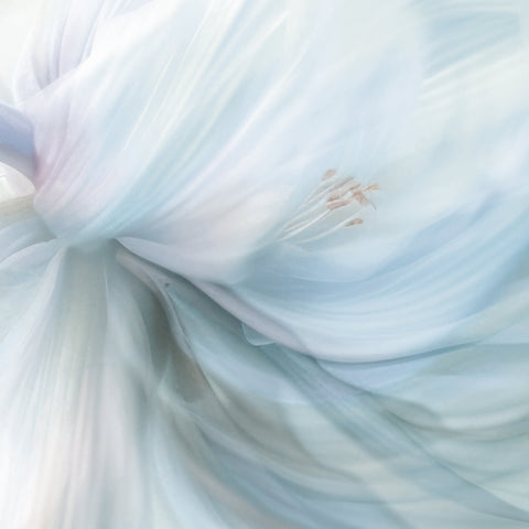 Carta da parati in Fibra di Vetro  Spirale floreale