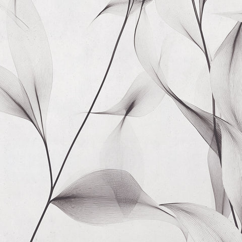 Carta da parati Tenue fruscio
