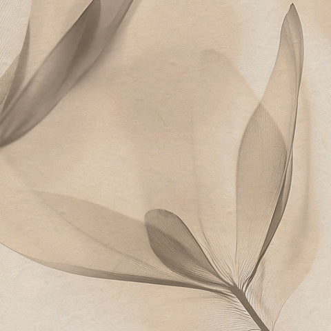 Carta da parati Florescentia