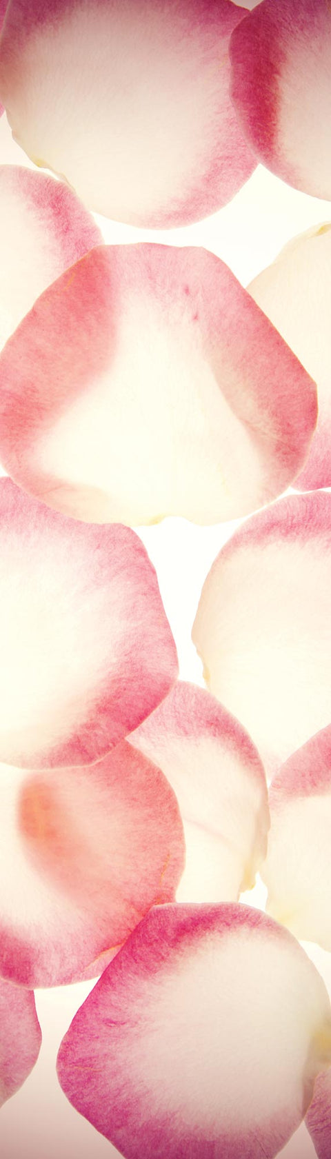 Adesivo per Frigo Softly