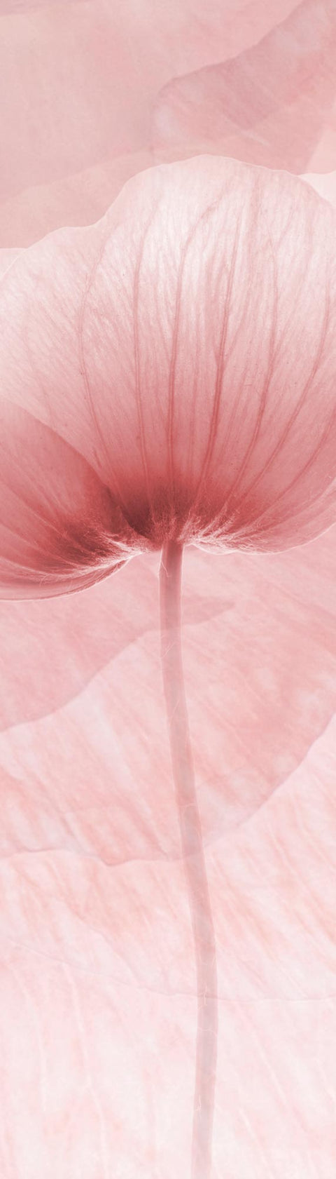Adesivo per Frigo Fiore Delicato