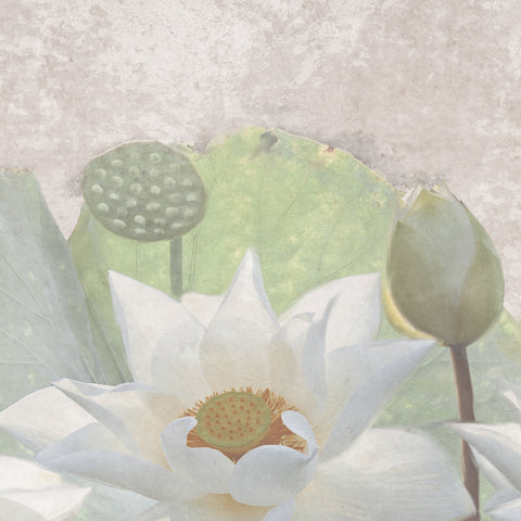 Carta da Parati Fiori di loto Dettaglio