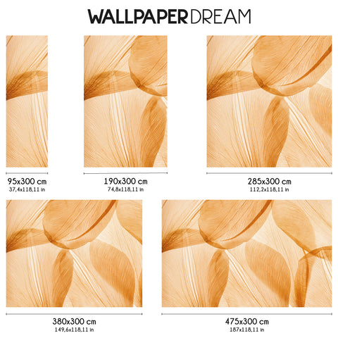 Carta da parati Translucent dimensioni