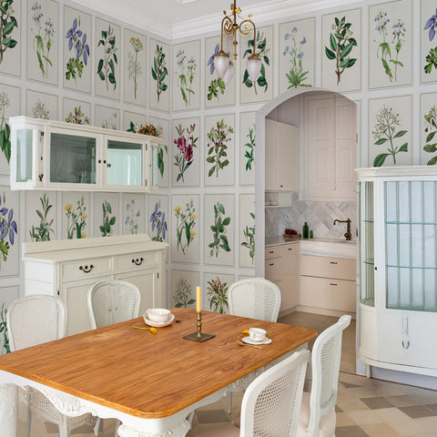 Carta da parati Tavole botaniche - cucina