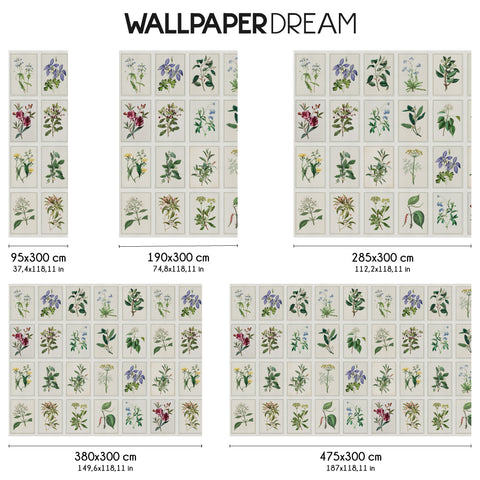 Carta da parati Tavole botaniche dimensioni