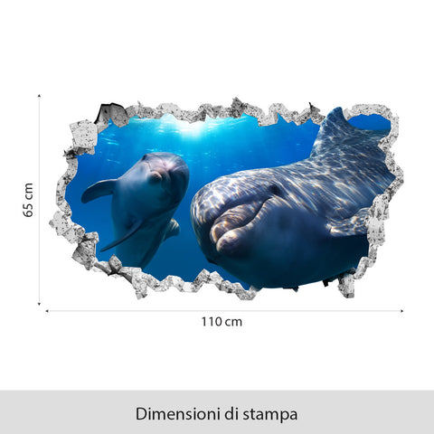 Adesivi murali Acquario delfini 3D dimensioni