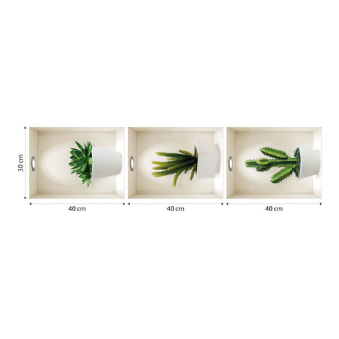 Adesivi murali Nicchie cactus dimensioni