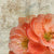 Carta da parati Rose selvatiche