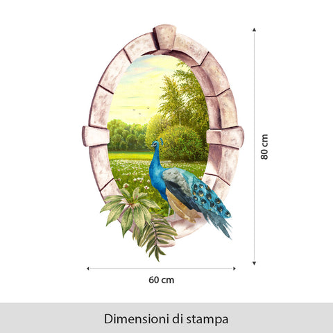 Carta Finestra pavone