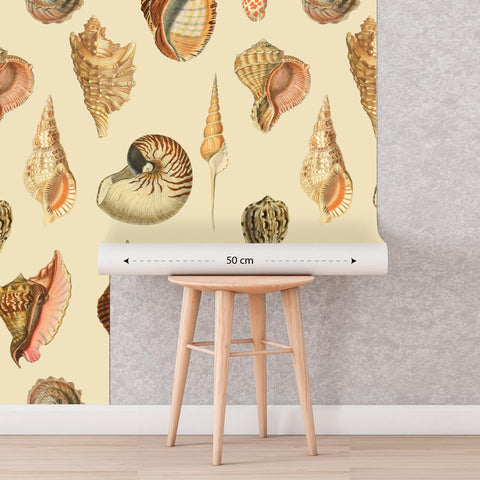 Shells light | Rotolo Carta da Parati