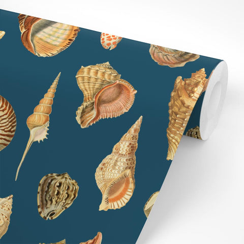 Shells dark | Rotolo Carta da Parati