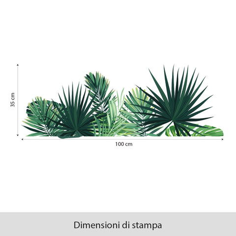 Fascia Palme | Vetrofania