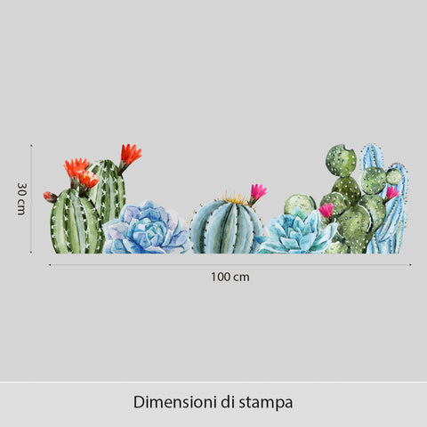 Fascia cactus | Vetrofania