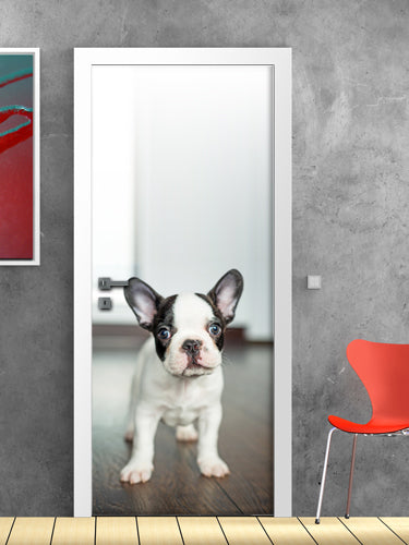 Porta Bulldog francese