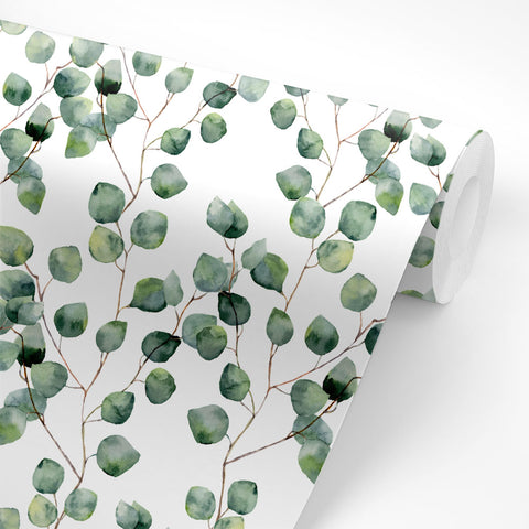 Pellicola adesiva per mobili Eucalyptus rotolo