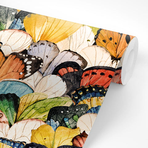 Pellicola adesiva Farfalle a colori