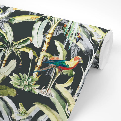 Pellicola adesiva Haute