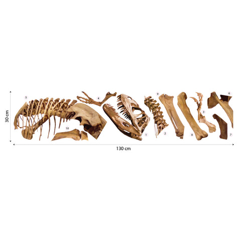 Puzzle Scheletro Dinosauro