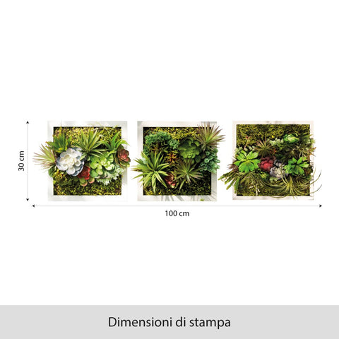 Vertical garden