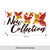 Farfalle new collection | Vetrofania